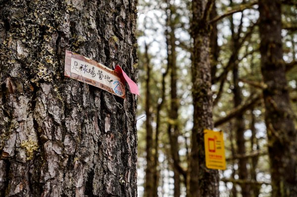 戒茂斯上嘉明湖三天兩夜2769408