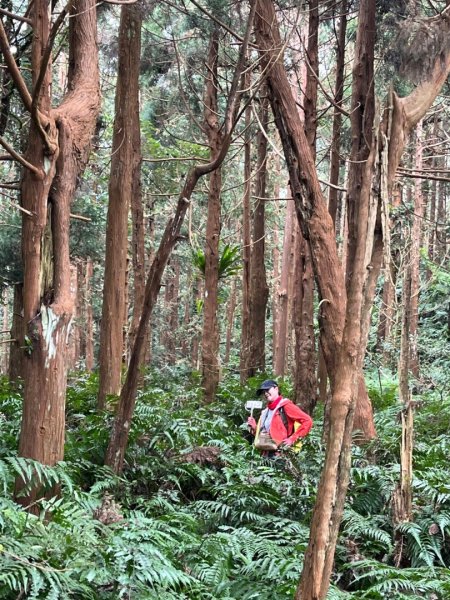 【苗栗郊山聖稜線】仙神象18連峰大縱走2675994