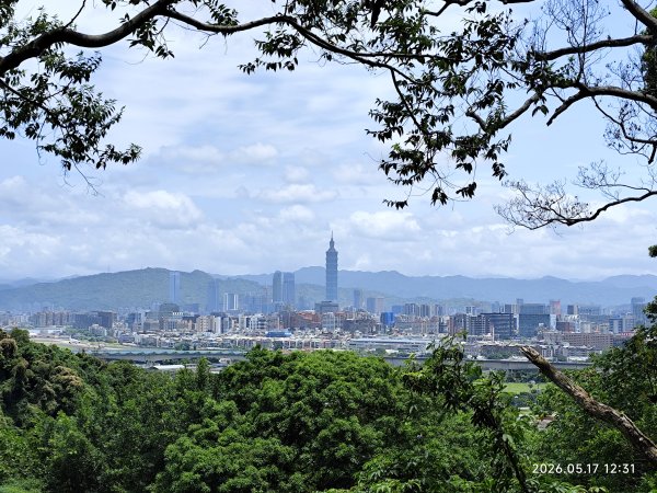 劍潭山、森林方舟、微風平台、圓山水神社、劍潭公園、八二三砲戰紀念公園3066011