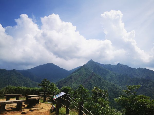 烈日當頭的南子吝2810048