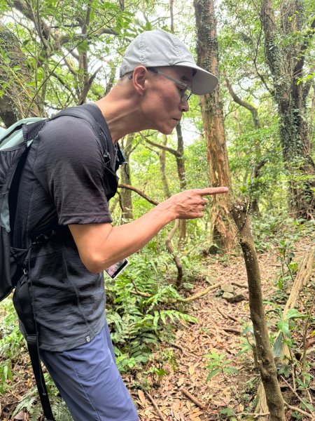 2025/09/07 大屯溪古道2926731