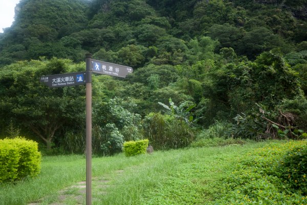 桃源谷大溪線封面