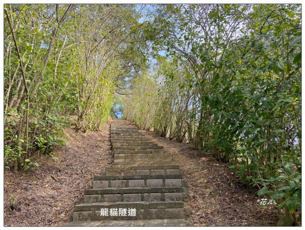 老崎古道、老崎坪頂山 (頭份)2737188