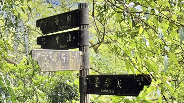 親民石階路線的平溪二尖|石筍尖 |薯榔尖|峯花雪月2698062
