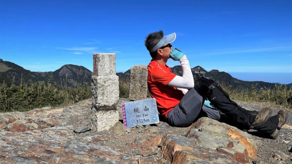 穿梭叢林桃山瞻仰巨木的殿堂桃山神木之行1656676