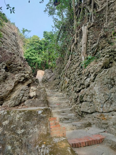 大崗山-小百岳#74-高雄市阿蓮區2486140