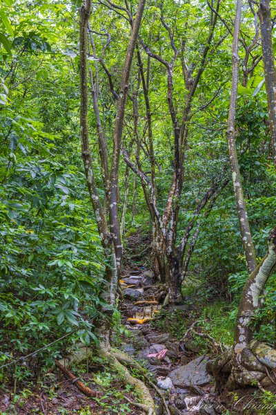 [屏東]笠頂山2847897