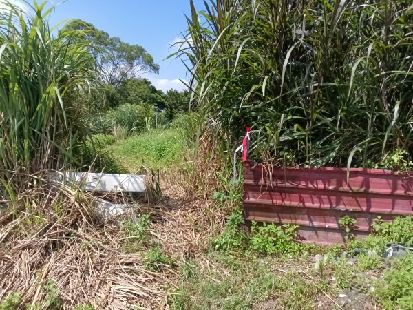 內湖區大丘田保甲路+開眼山+白石湖山+白石湖山東峰+大邱田山+消防山O型2858875