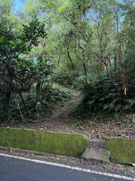 虎豹雙棲越野17K複習跑-part23072604