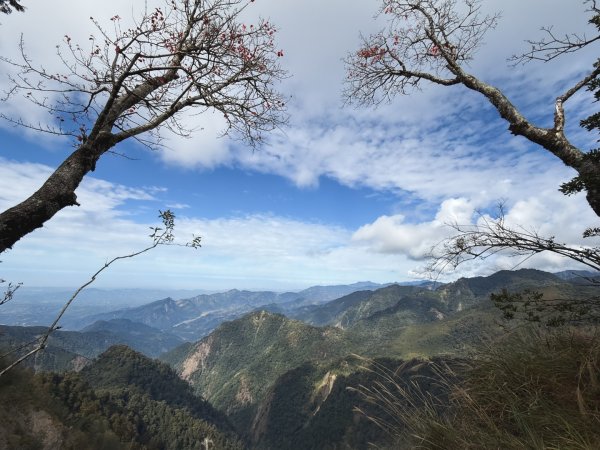 鳶嘴稍來步道賞楓季 ，大雪山門票優惠到12/31！2969565