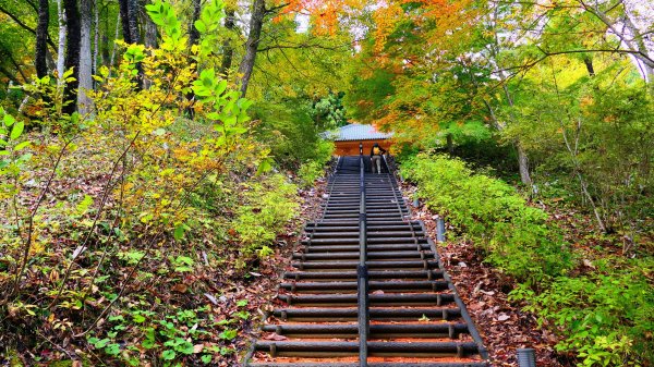 岩手縣藤原之鄉2930108