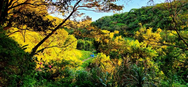 四獸山大縱走，虎山，豹山，獅山，象山，林口太平濱海步道，桃園龜山（貴山，龜山頭山），老坑溪步道1964727