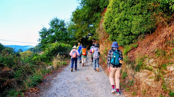 西班牙朝聖法國之路115KM, Day23125663