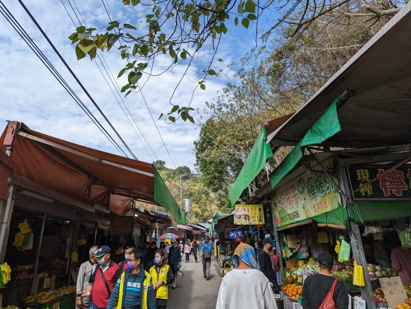 2023-02-04 大坑9、10號步道2792374