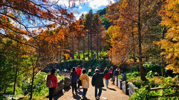 #花卉試驗中心 #永公路500巷 #平菁街42巷 #原住民公園 #士林官邸 1/42976533