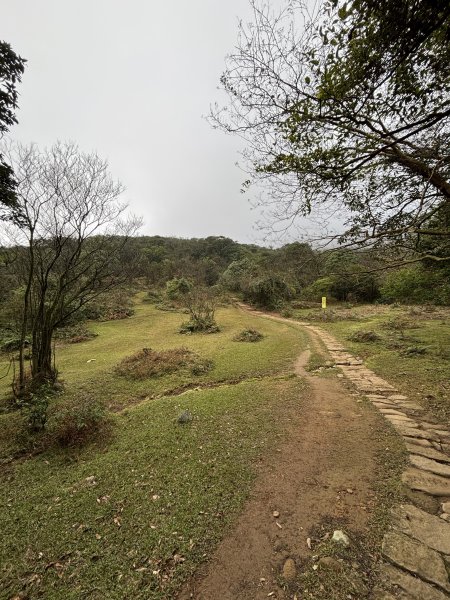 陽明山東西大縱走-東段2984527