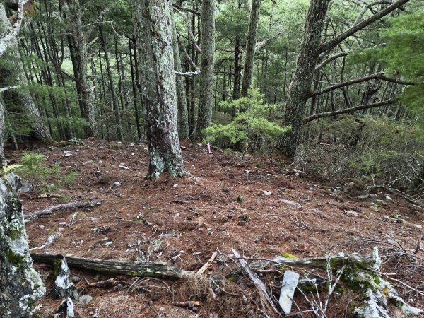 北一段(05/14)南湖南峰 2025_0906~132886494