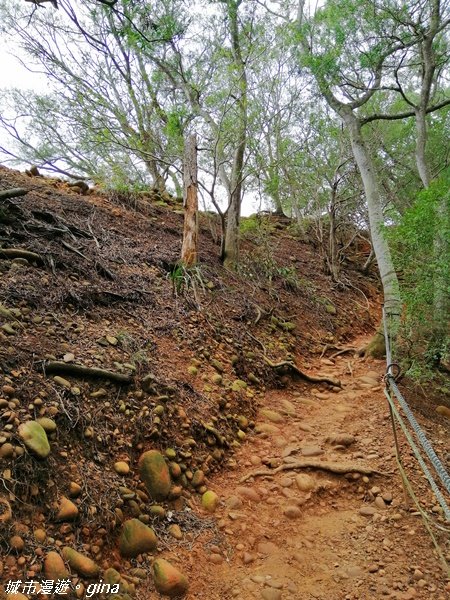 苗栗三義~拍照要遠離懸崖邊~小百岳火炎山1206298