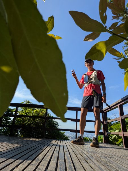 2025-06-21 臺北大縱走第五段來回 & 大崙頭尾山親山步道2818766