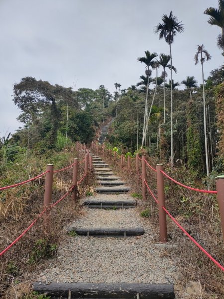 嘉義［阿拔泉山稜線步道］+太平雲梯2235726