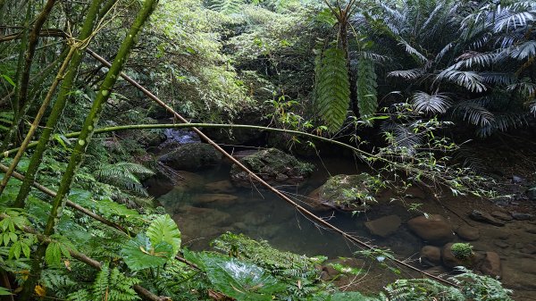 柴寮古道、中坑古道2814661