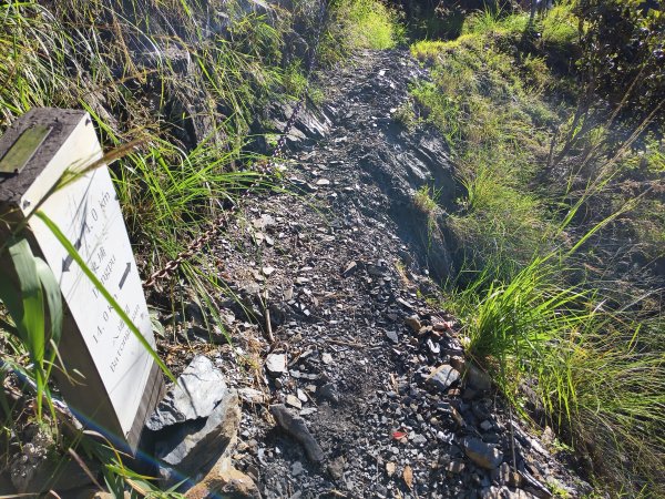 [玉山尋寶任務-07/12] 2025_0824 八通關雲龍瀑布步道2870658