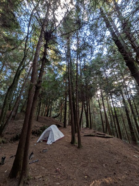 結界縱走三日(結城山、境界山、檜山)2920919