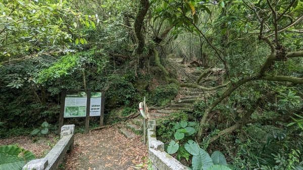 112.04.29走遍陽明山尋寶任務之坪頂古圳步道2137380