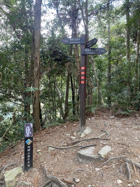 唐麻丹山3059705