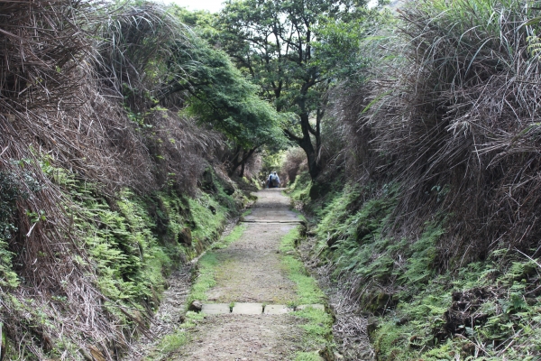 20160502台灣台北陽明山金包里步道公開90690