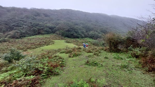 陽明山後花園，百年靜美牧牛山徑，古道草原精華連走2787732