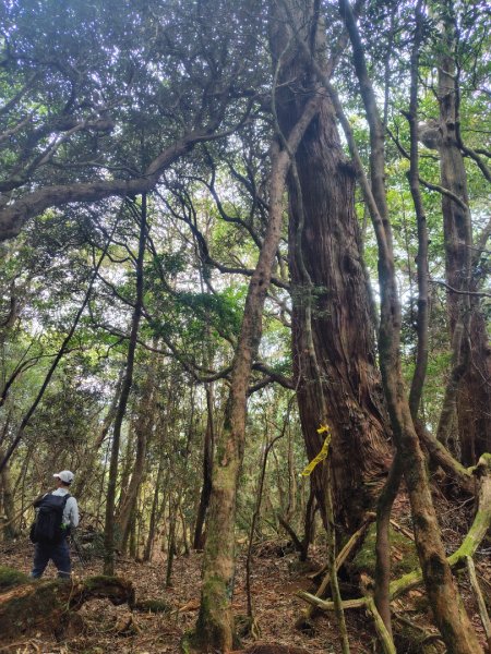 南東眼山連走有勝山2918759
