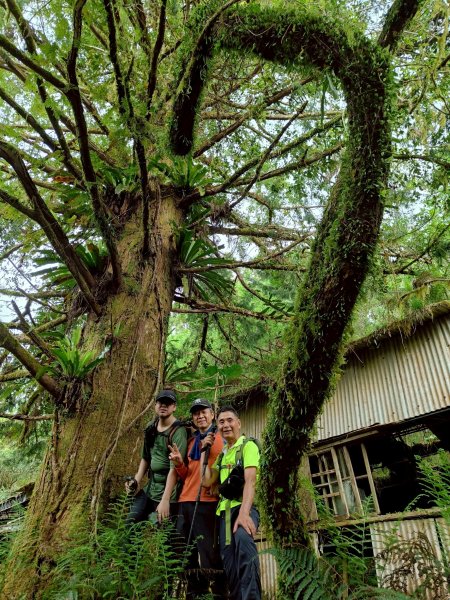 20250420古魯古道-大元山-大元國小2767399