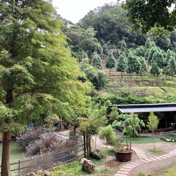 24.鳶山山徑、上上下下、喘喘累累1179298