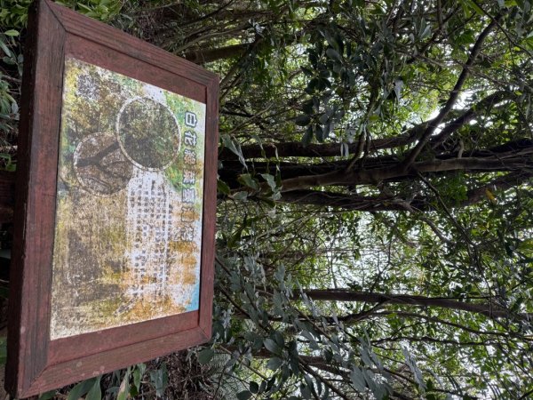 2025/04/13 小百岳第008「大崙頭山」2760258