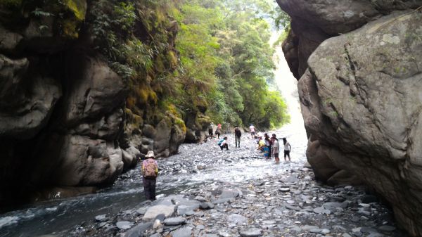 武界一線天步道 2017 08 23164431