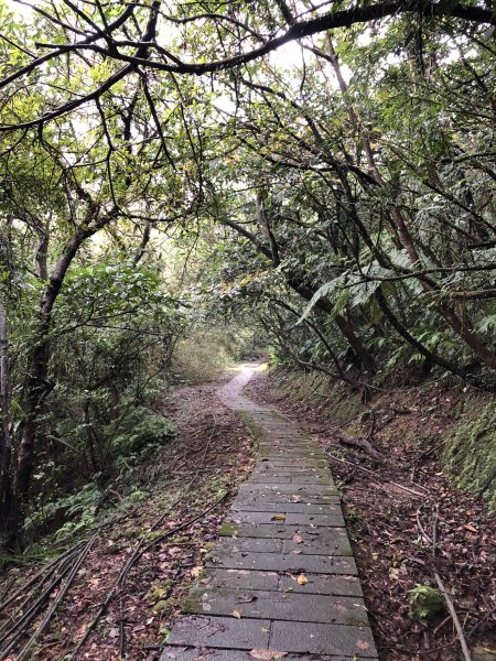 台灣小百岳No.010 五分山910150