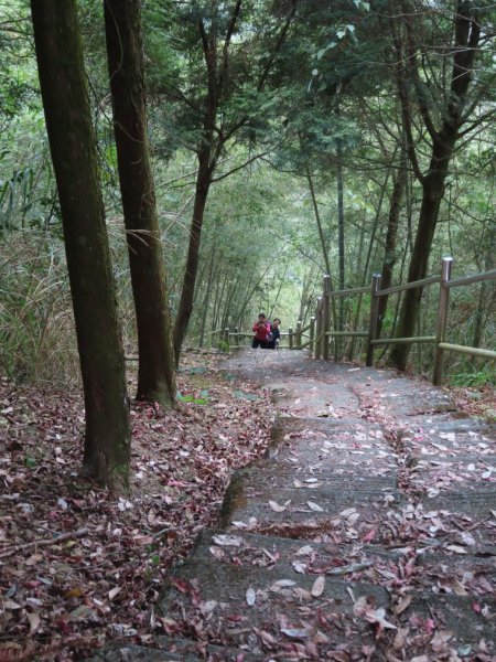 大湖尖山(順遊半天岩紫雲寺‧飲冰柿茶集‧曾記涼泉芳冰店)1351520