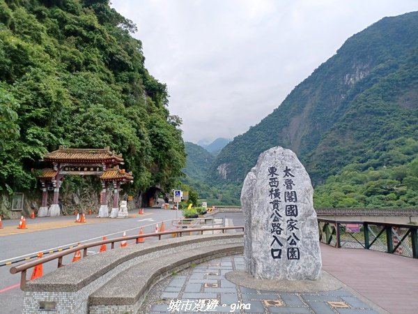 【花蓮秀林】美景天成。 砂卡礑步道2241817