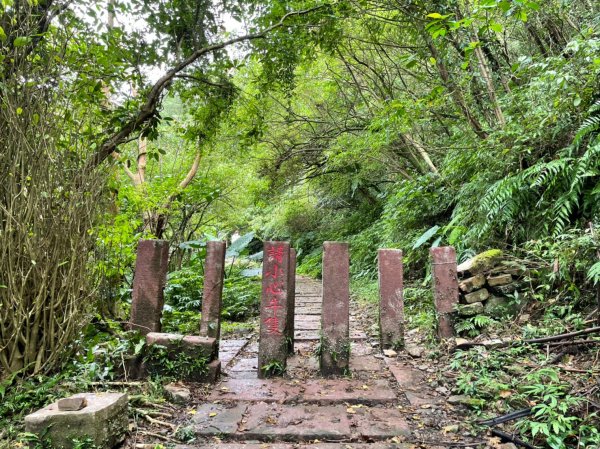 桃源谷步道(大溪線+草嶺古道線)-下大里天公廟1508086