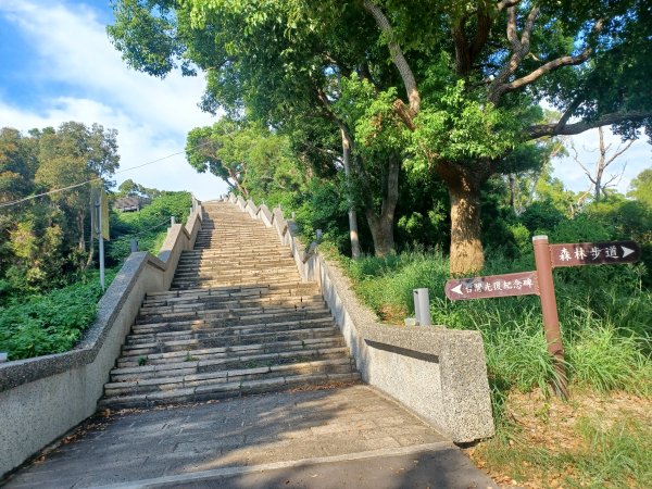 【苗栗新竹】通霄神社x通霄虎頭山步道x新竹香山濕地賞蟹步道2925423