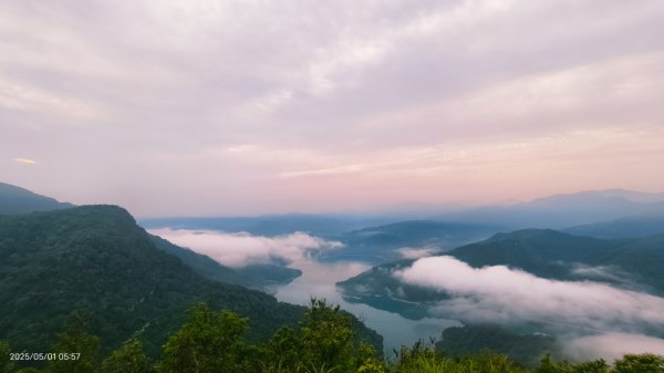 翡翠水庫壩頂 #火燒雲雲海 #日出雲海 #鱷魚島 #藍腹鷴 4/292773792