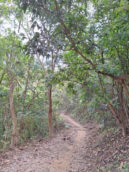 南化鈺鼎步道上糖子恩山+北峰202503152736895