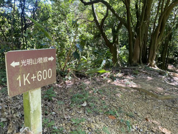 2025微笑山線大縱走尋寶集章任務-Ep.02【大棟山系】百年大榕樹2882281