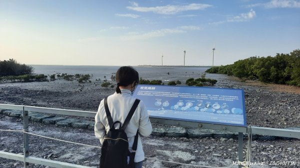 《彰化》海空夕陽｜芳苑海空步道濕地紅樹林202401072397722