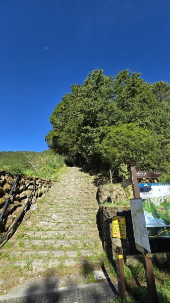 20240629-0630 嘉明湖步道+三叉山+向陽山2619569