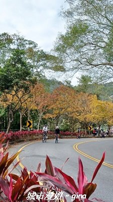 【南投魚池】悠遊騎乘。日月潭自行車環湖步道2961463