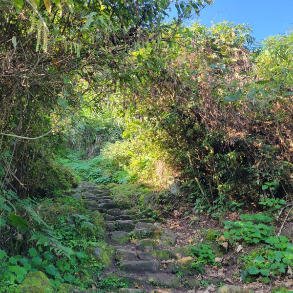 馬那邦山、細道邦山（小百岳）2435542