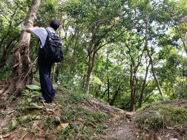 平溪區過火坪古道+枋山坑山+中坑頭鞍部+枋山坑古道+火燒寮古道O型2878605