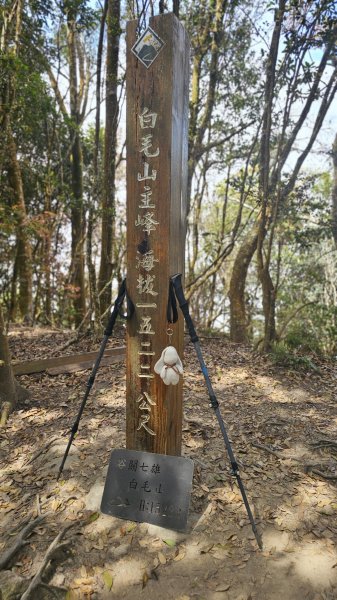 【美美兔走山趣】谷關抓雄-老六白毛2749968